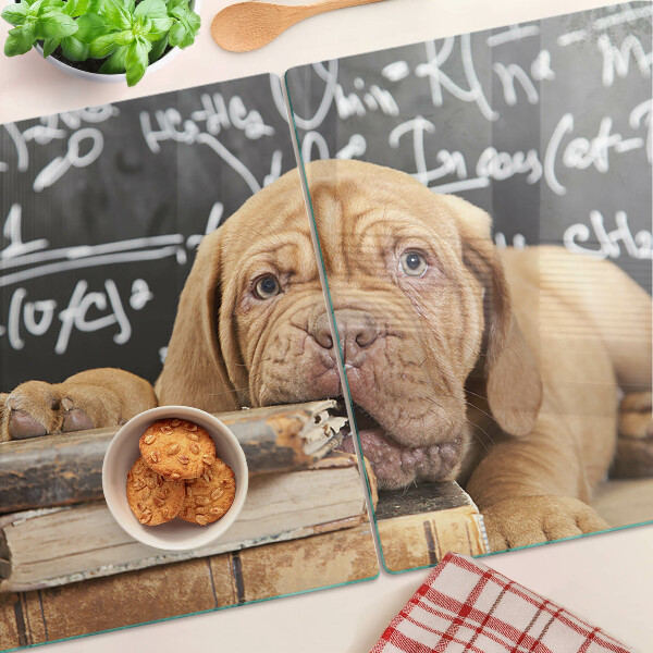 Glas schneidebrett Hund mit Büchern und einer Tafel