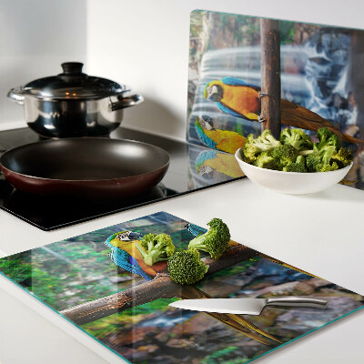 Schneidebrett glas Papageien auf einem Ast in einem tropischen Wald