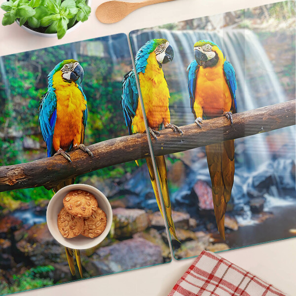 Schneidebrett glas Papageien auf einem Ast in einem tropischen Wald