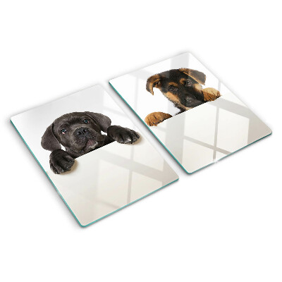 Schneidebrett Zwei Hunde schauen sich um