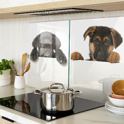 Schneidebrett Zwei Hunde schauen sich um