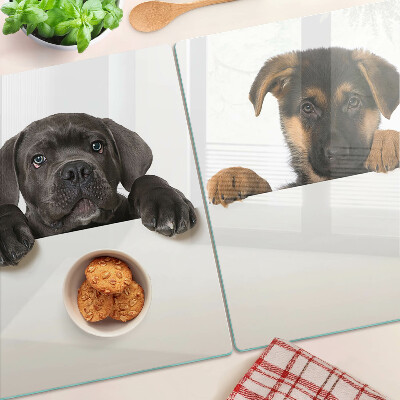 Schneidebrett Zwei Hunde schauen sich um