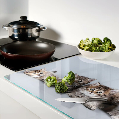 Glas schneidebrett Katzen im Hintergrund des Fensters