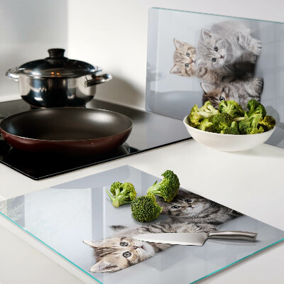 Glas schneidebrett Katzen im Hintergrund des Fensters