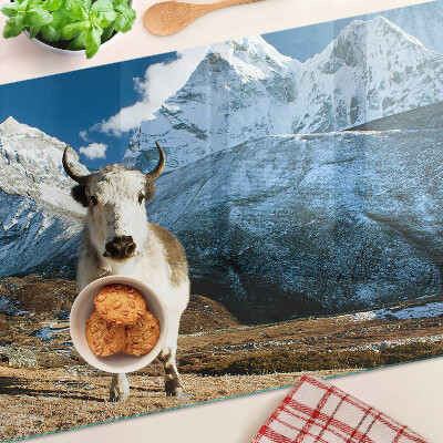 Schneidebrett Kuh in den Bergen