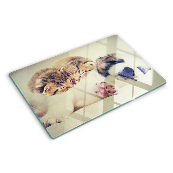 Schneidebrett glas Katzen und ein Hund schlafen zusammen