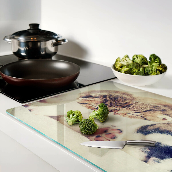 Schneidebrett Glas mit Motiv von schlafenden Katzen und einem Hund