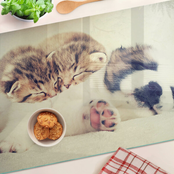 Schneidebrett Glas mit Motiv von schlafenden Katzen und einem Hund