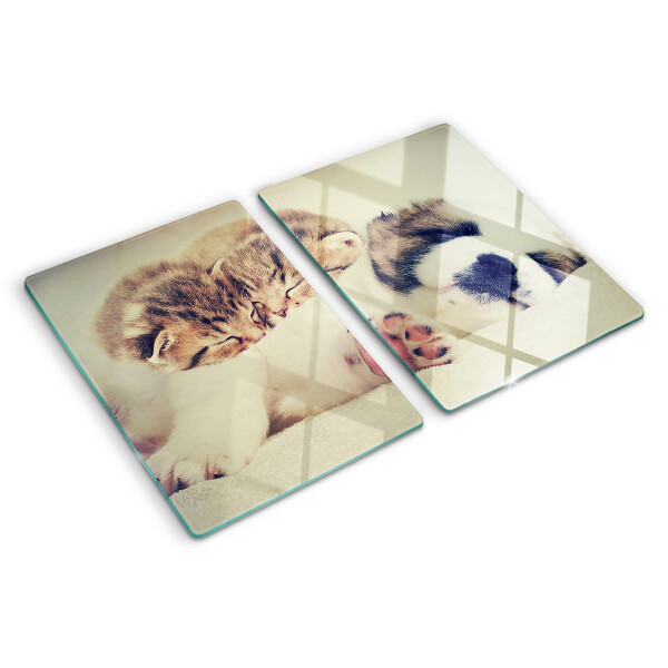 Schneidebrett glas Katzen und ein Hund schlafen zusammen