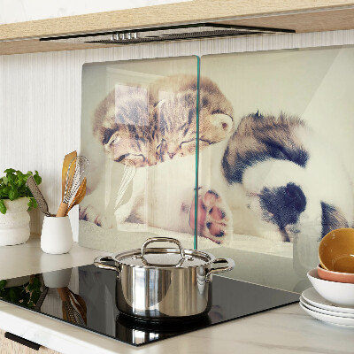 Schneidebrett glas Katzen und ein Hund schlafen zusammen