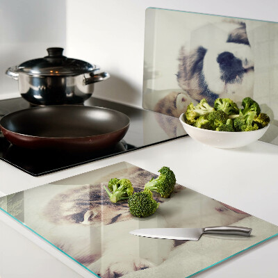 Schneidebrett glas Katzen und ein Hund schlafen zusammen