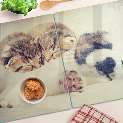 Schneidebrett Glas mit Motiv von schlafenden Katzen und einem Hund