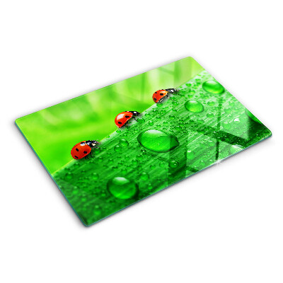 Schneidebrett Marienkäfer auf grünem Hintergrund