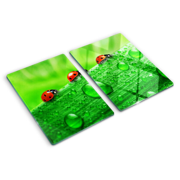 Schneidebrett Marienkäfer auf grünem Hintergrund