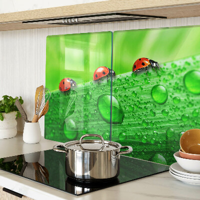 Schneidebrett Marienkäfer auf grünem Hintergrund