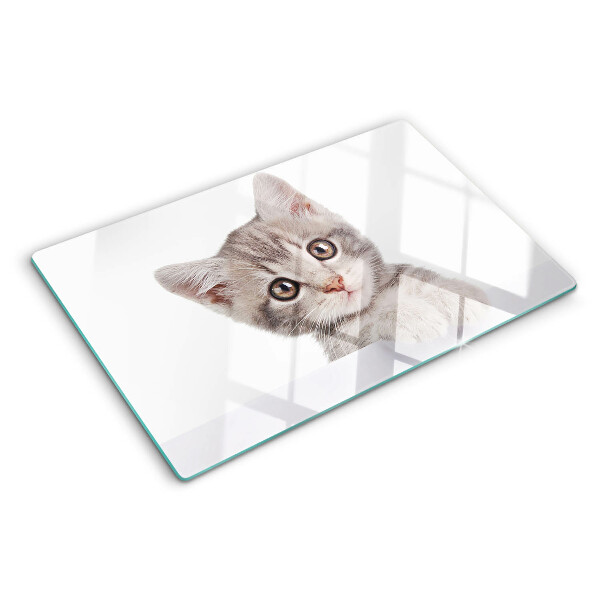 Schneidebrett glas Kätzchen mit großen Augen