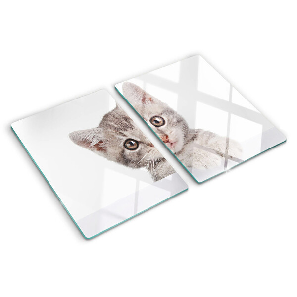 Schneidebrett Glas mit Motiv eines Kätzchens mit großen Augen