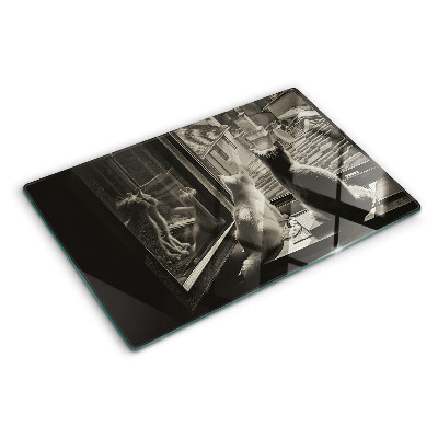 Schneidebrett glas Katzen am Fenster