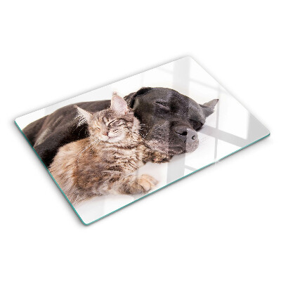 Schneidebrett glas Katze und Hund schlafen zusammen