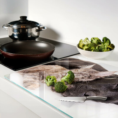 Schneidebrett glas Katze und Hund schlafen zusammen