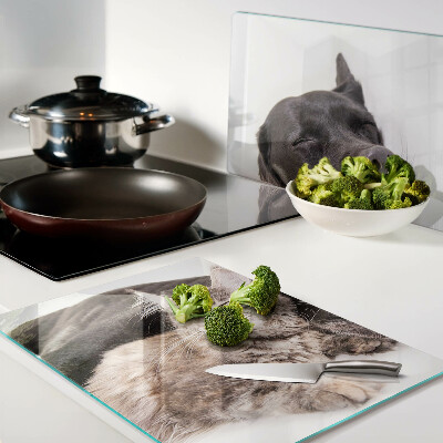 Schneidebrett Glas mit Motiv