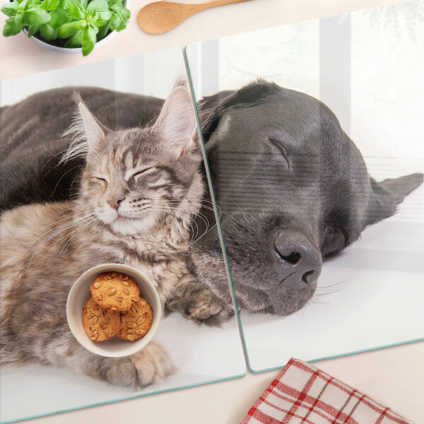 Schneidebrett glas Katze und Hund schlafen zusammen
