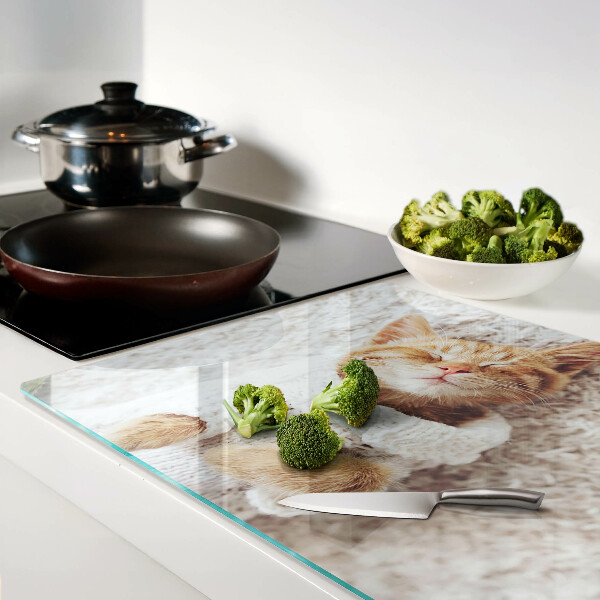 Schneidebrett Süßes Kätzchen im Pullover