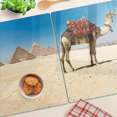 Schneidebrett glas Pyramiden und ein Kamel in der Wüste
