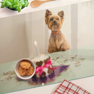 Schneidebrett glas Ein Hund am Tisch mit einem Kuchen