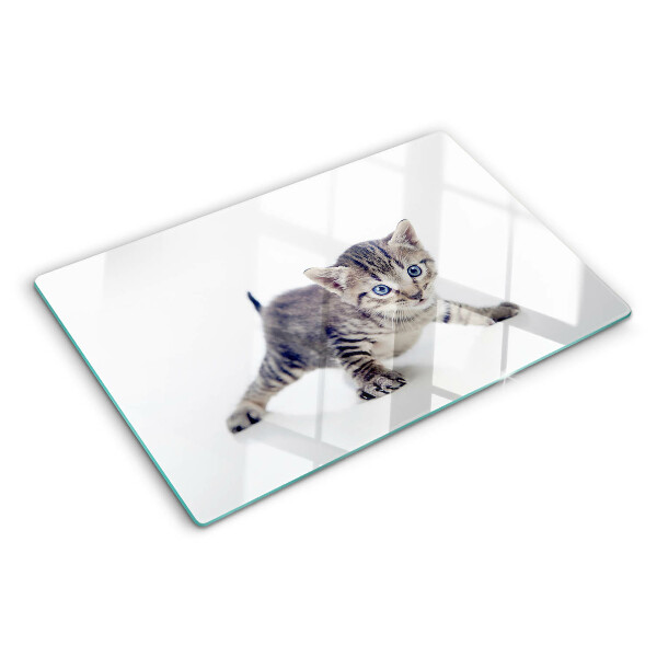 Schneidebrett glas Kätzchen mit blauen Augen