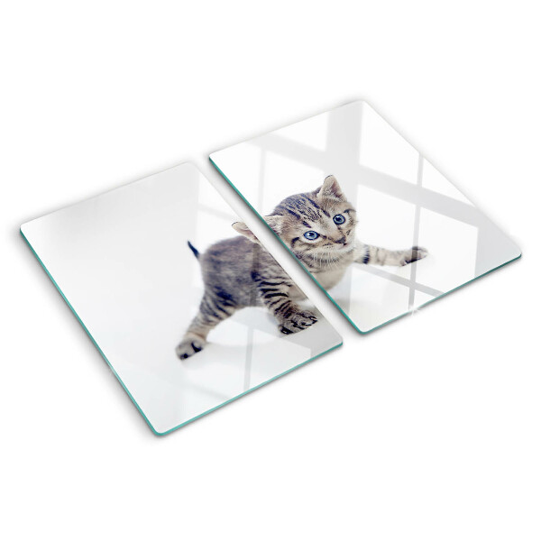 Schneidebrett Glas mit Kätzchenmotiv und blau leuchtenden Augen