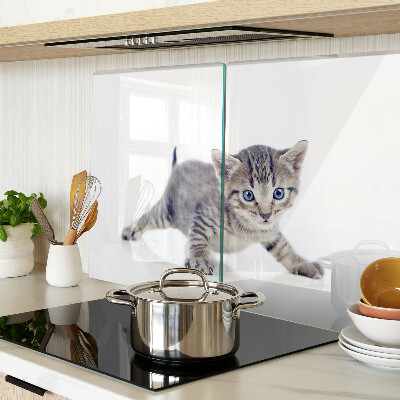 Schneidebrett Glas mit Kätzchenmotiv und blau leuchtenden Augen