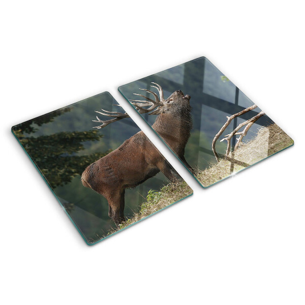 Glas schneidebrett Hirsche in ihrem natürlichen Lebensraum