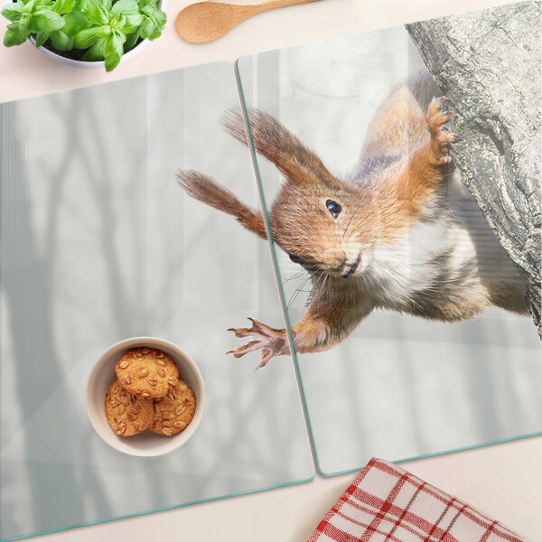 Schneidebrett Eichhörnchen auf einem Ast