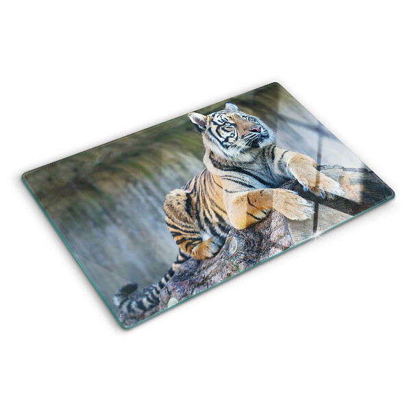 Schneidebrett glas Tiger auf einem Baumstamm