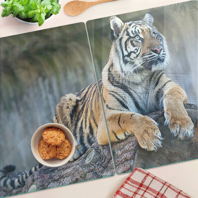 Schneidebrett glas Tiger auf einem Baumstamm
