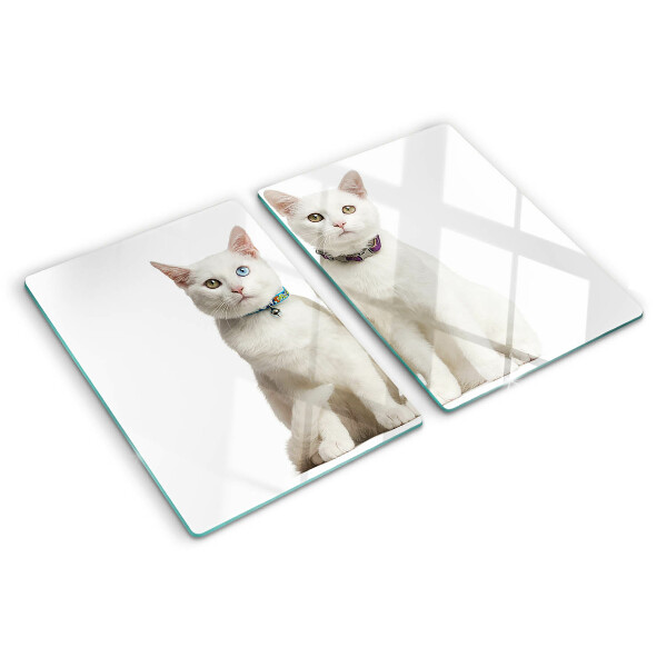 Glas schneidebrett Weiße Katzen mit verschiedenfarbigen Augen