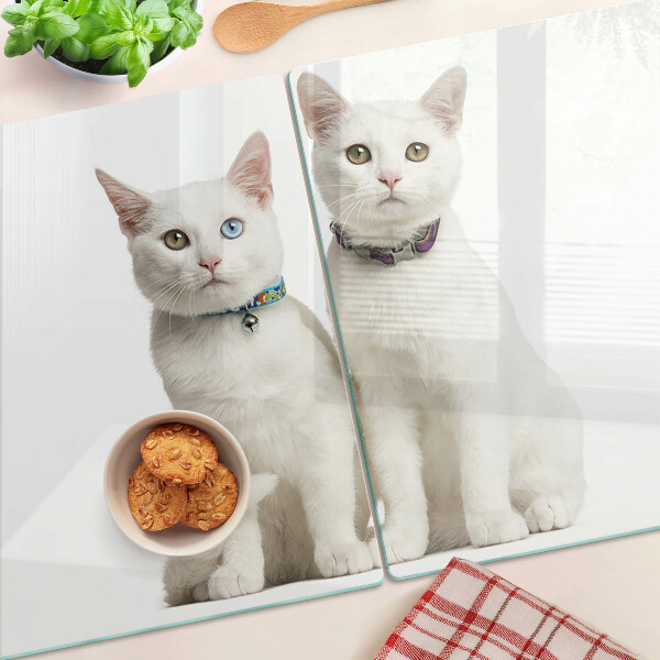 Glas schneidebrett Weiße Katzen mit verschiedenfarbigen Augen