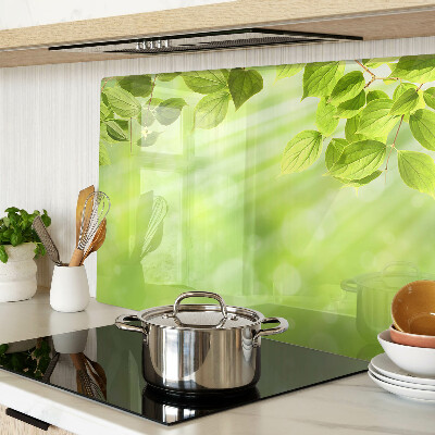 Schneidebrett glas Grüne Blätter im Licht