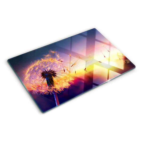 Schneidebrett glas Löwenzahn vor dem Hintergrund des Sonnenuntergangs