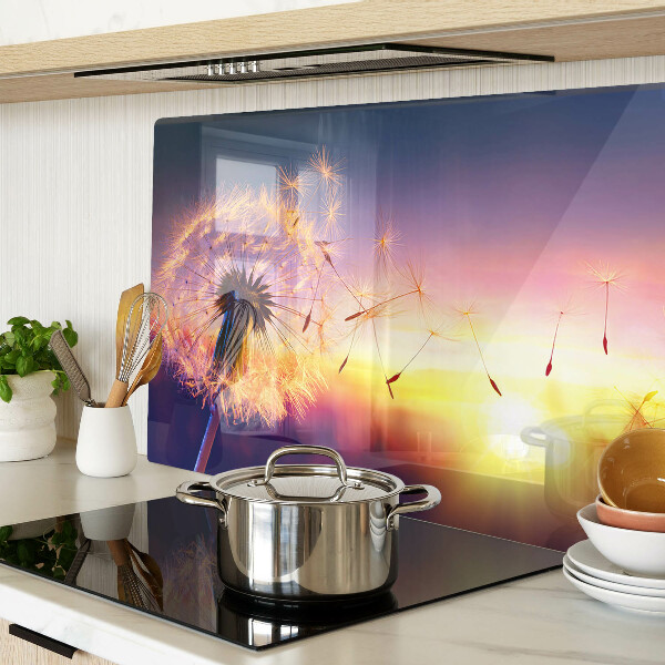 Schneidebrett glas Löwenzahn vor dem Hintergrund des Sonnenuntergangs