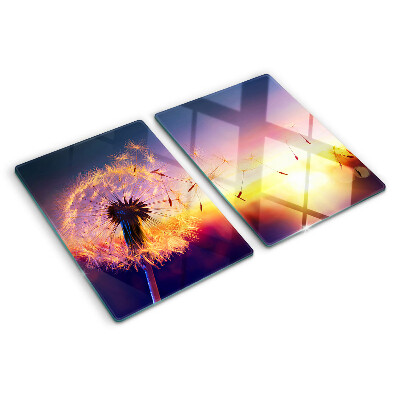 Schneidebrett glas Löwenzahn vor dem Hintergrund des Sonnenuntergangs