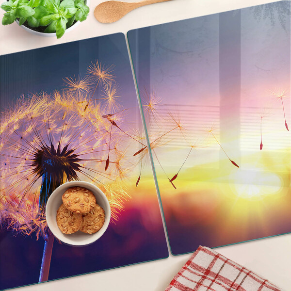 Schneidebrett glas Löwenzahn vor dem Hintergrund des Sonnenuntergangs