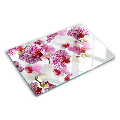 Glas schneidebrett Orchideen im Hintergrund des Fensters