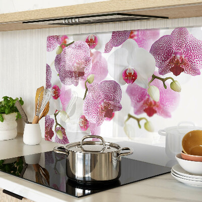 Glas-Schneidebrett mit Orchideen vor einem Fenster als Motiv