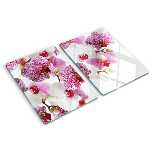 Glas-Schneidebrett mit Orchideen vor einem Fenster als Motiv
