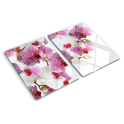 Glas-Schneidebrett mit Orchideen vor einem Fenster als Motiv