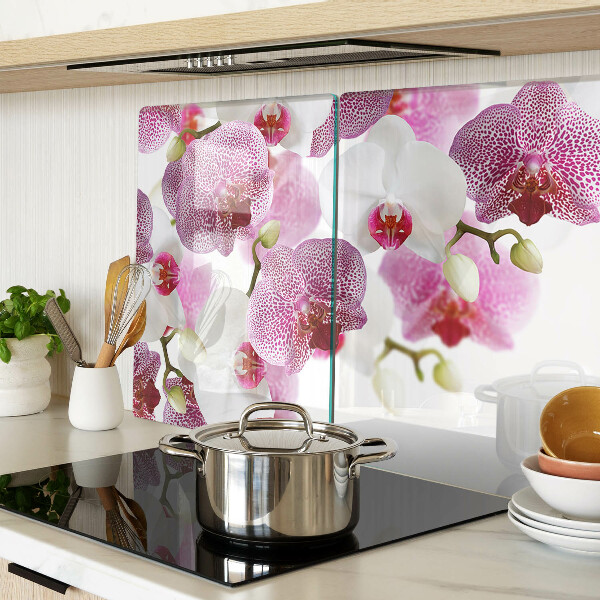 Glas schneidebrett Orchideen im Hintergrund des Fensters