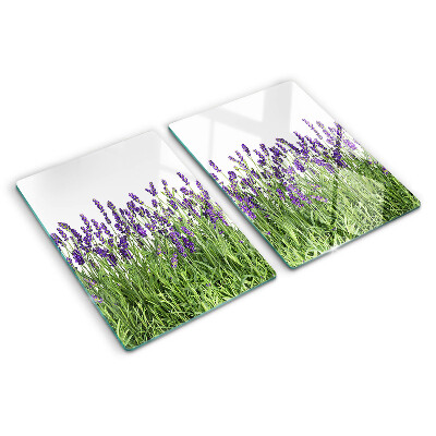 Schneidebrett glas Lavendelfeld in der Sonne