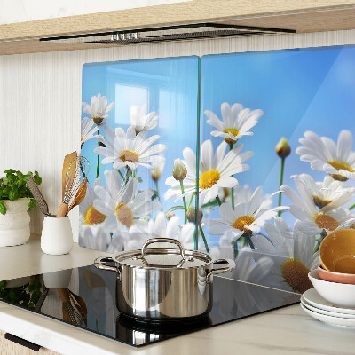 Schneidebrett glas Gänseblümchen auf blauem Hintergrund